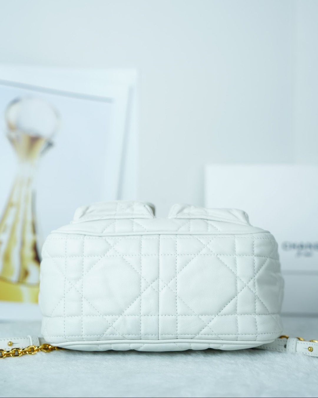 Dior Caro Backpack - White - View 5