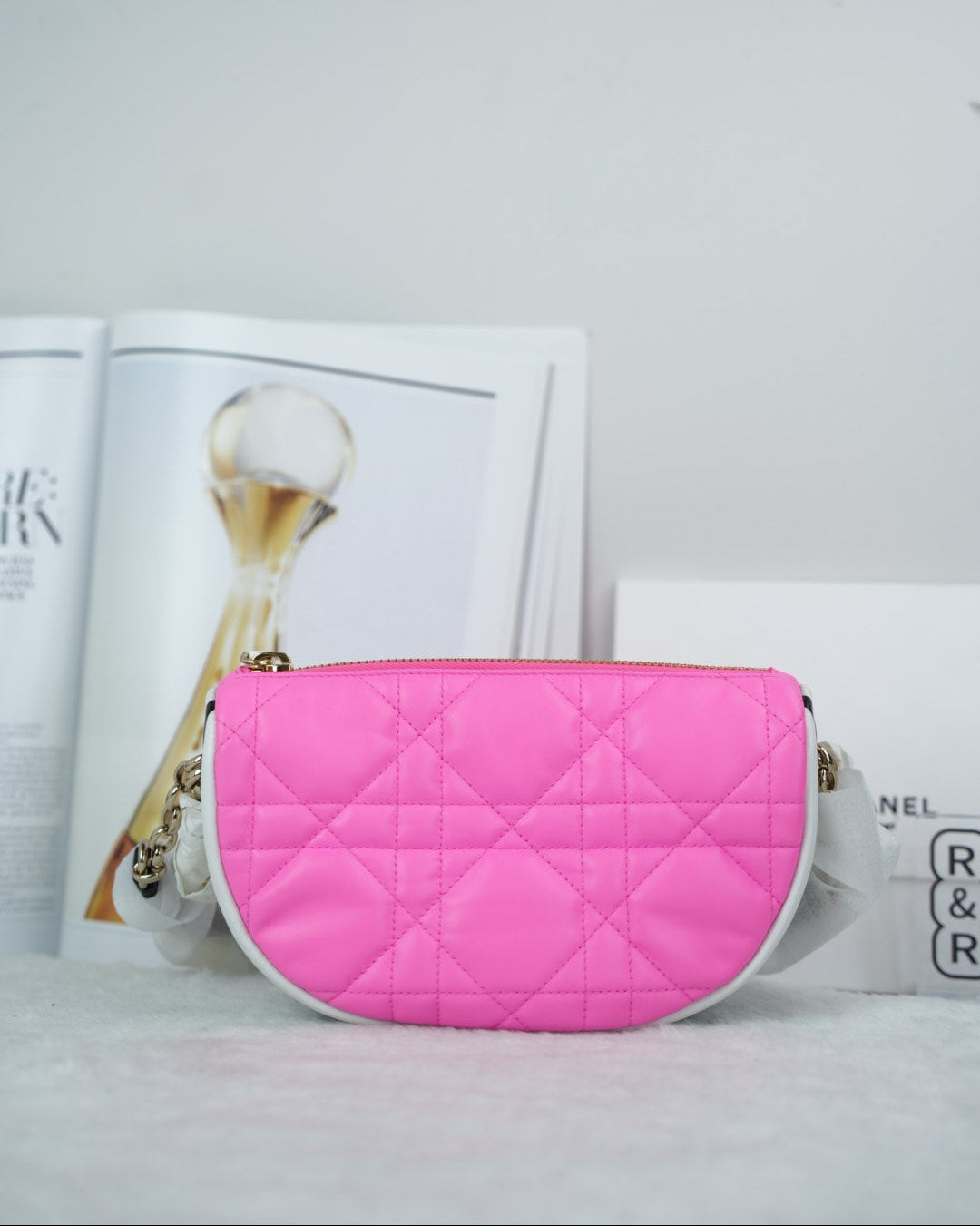 Dior Vibe Hobo Bag - Pink And White - View 2