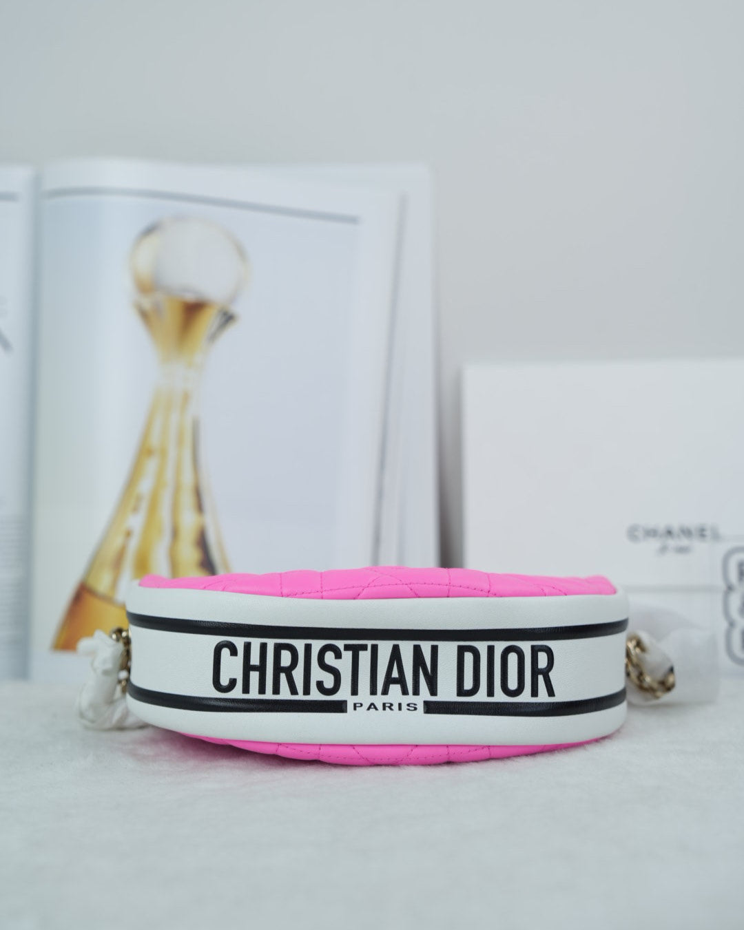 Dior Vibe Hobo Bag - Pink And White - View 5