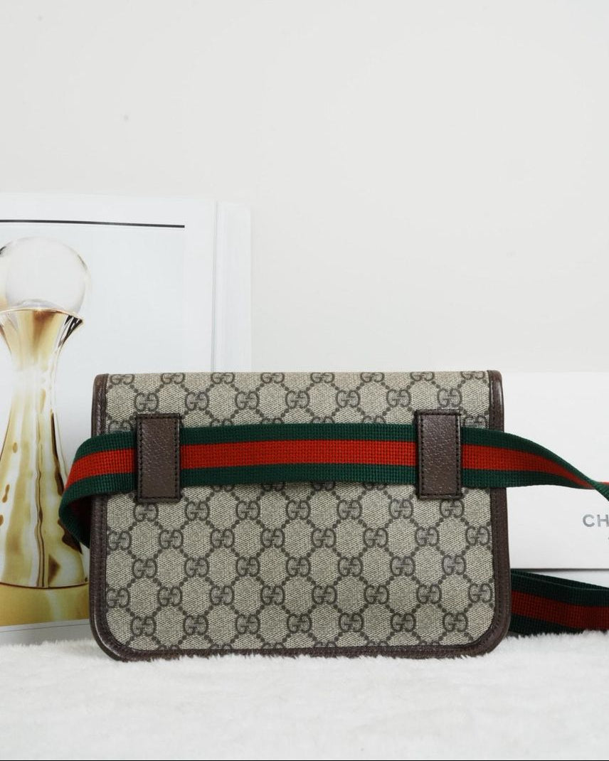 Gucci Web Neo Belt Bag - Ophidia Gucci - View 2