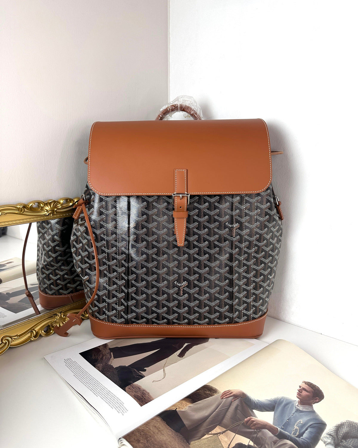 Goyard Alpin Backpack MM - Black & Tan - View 1