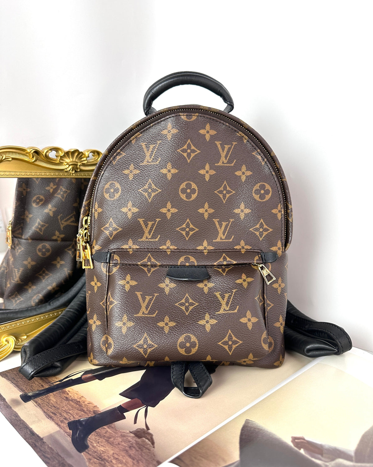 Louis Vuitton Palm Springs PM Bag - Monogram Brown - View 1