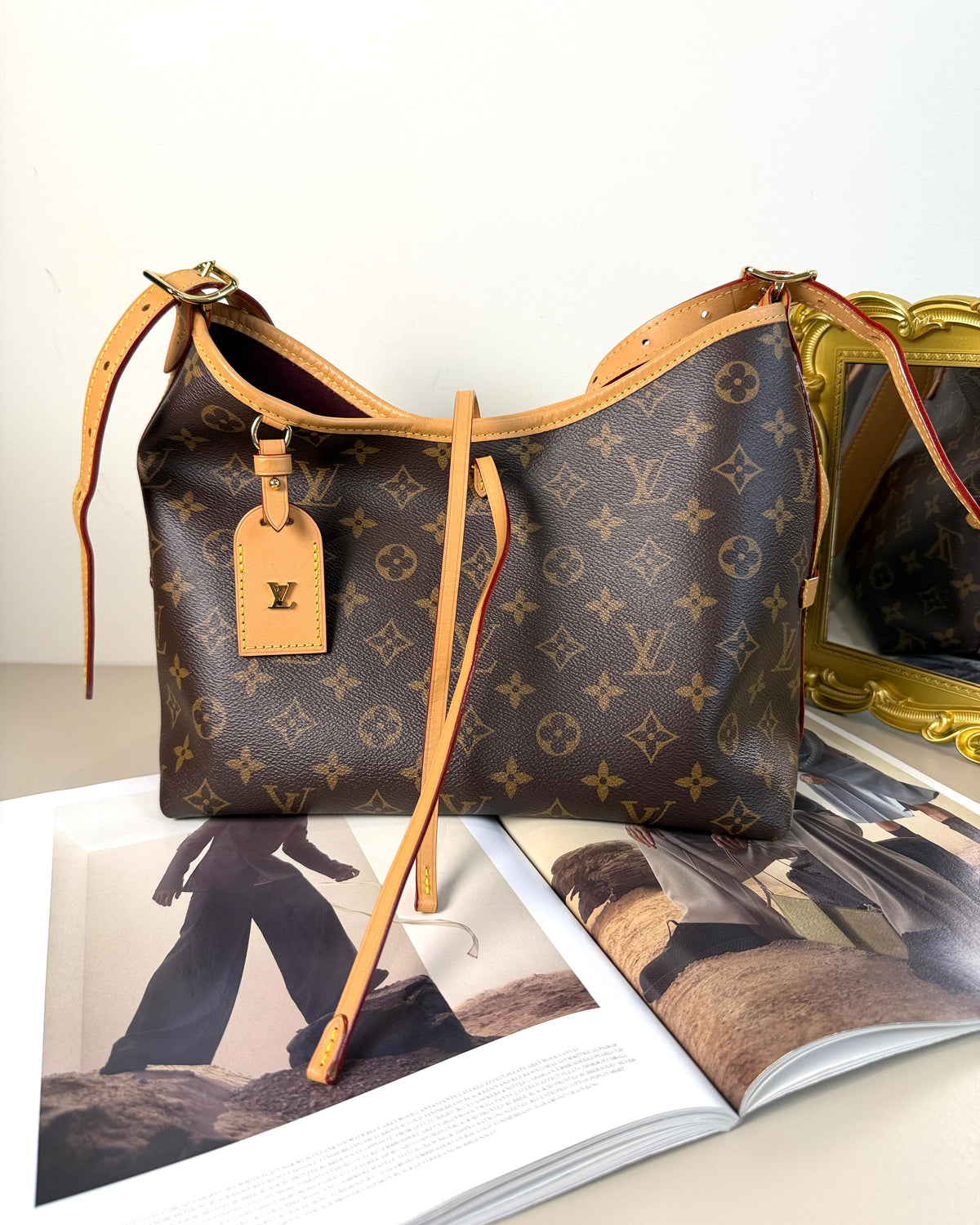 Louis Vuitton CarryAll MM Bag - Brown - View 1