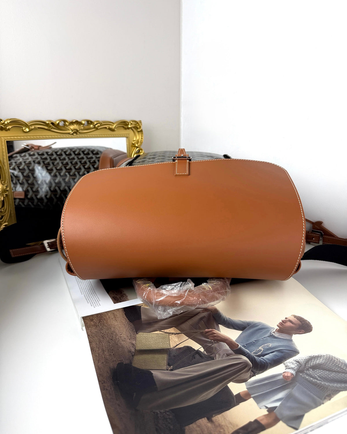 Goyard Alpin Backpack MM - Black & Tan - View 6