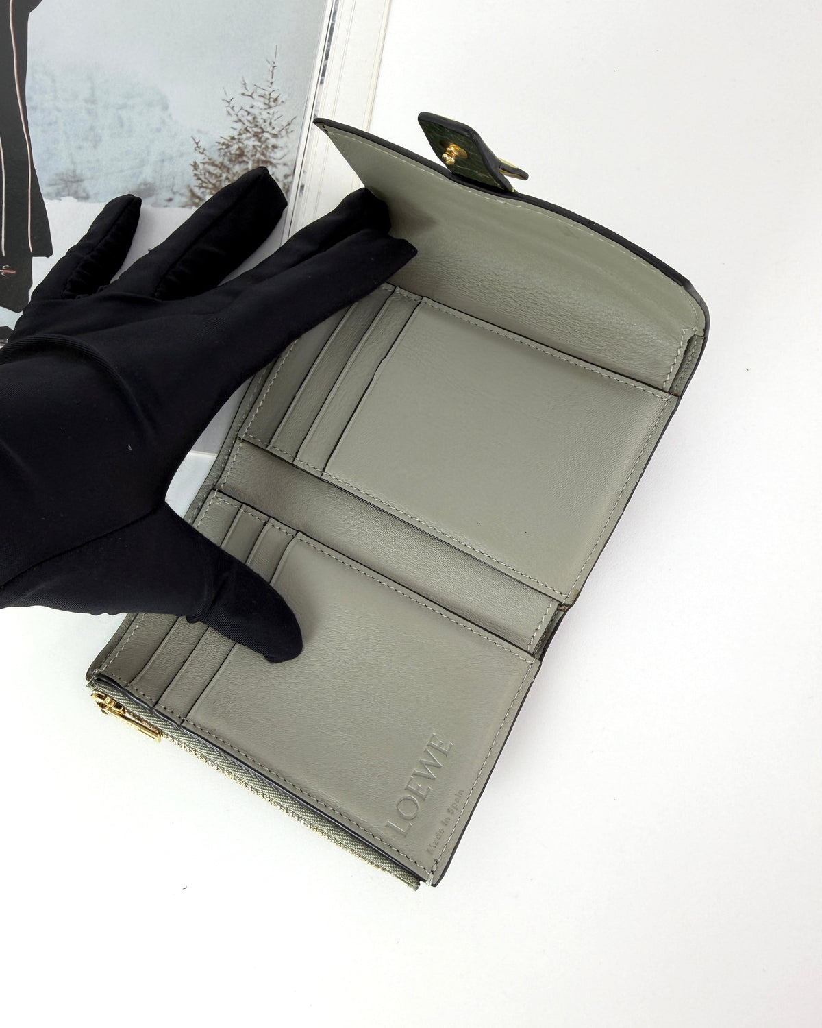Loewe Small Vertical Wallet - Rosemary, Tan - View 7