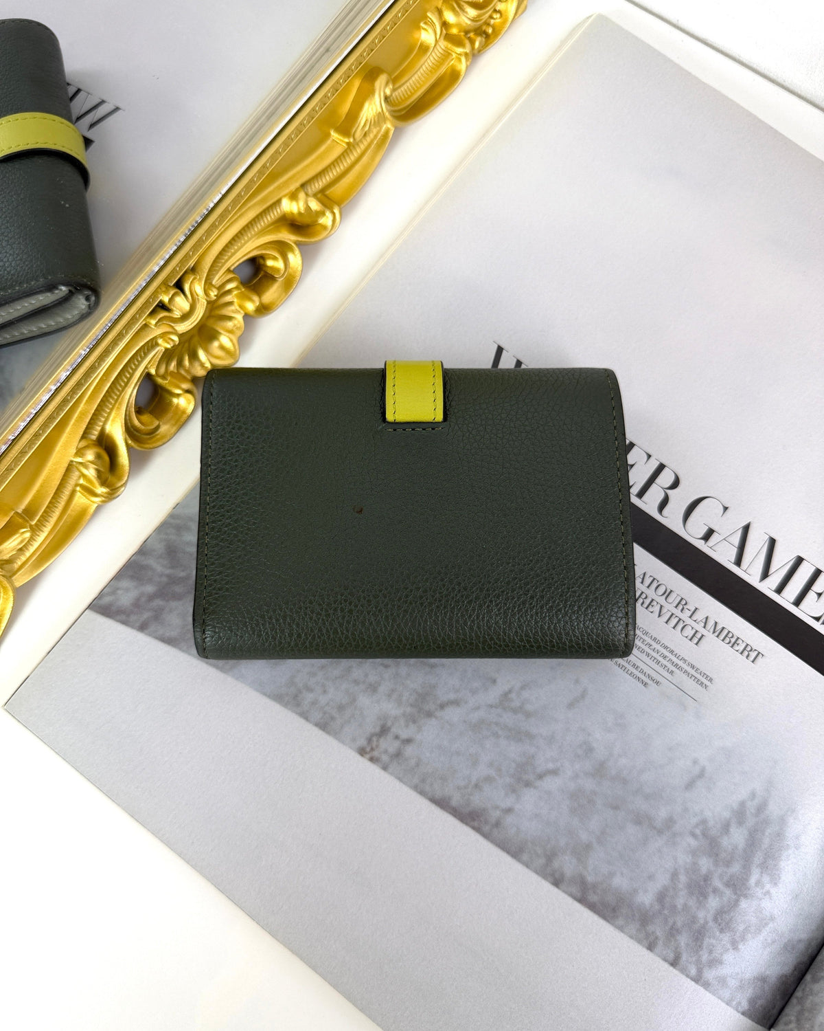 Loewe Small Vertical Wallet - Rosemary, Tan - View 2