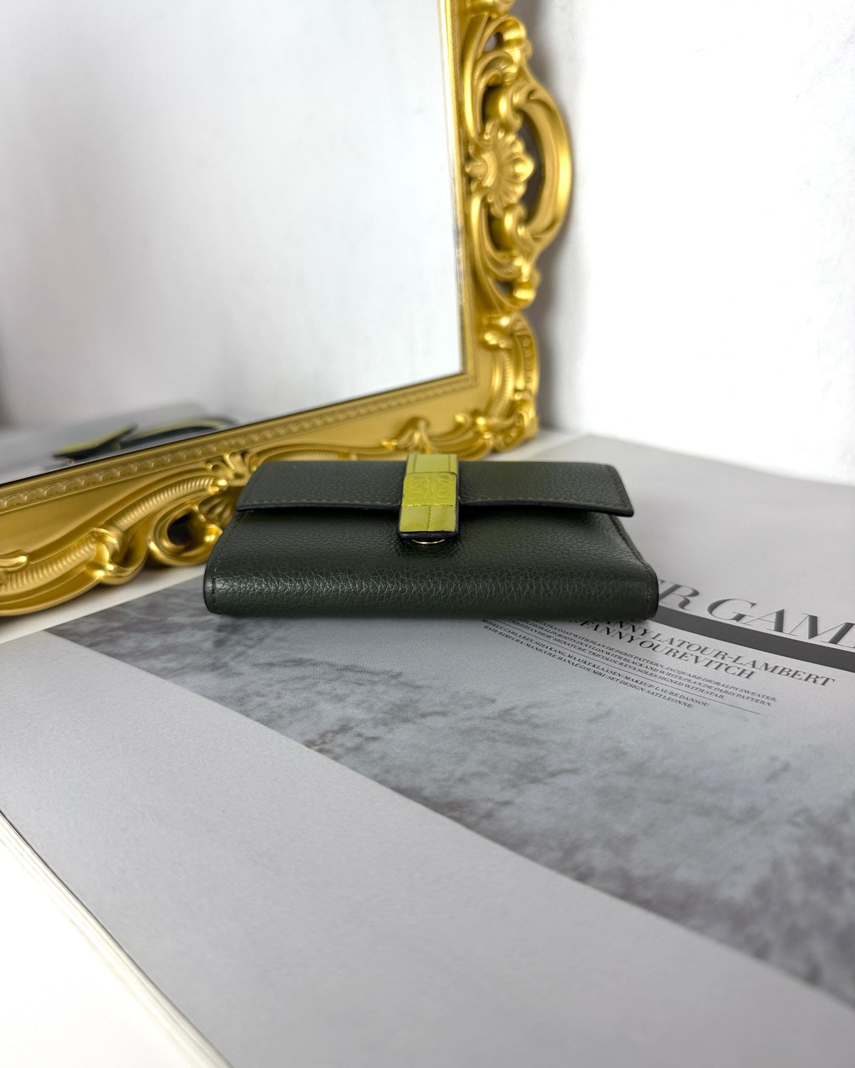 Loewe Small Vertical Wallet - Rosemary, Tan - View 6