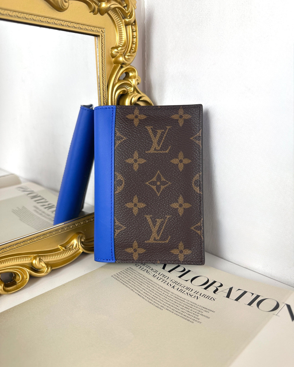 Louis Vuitton Passport Macassar - View 1