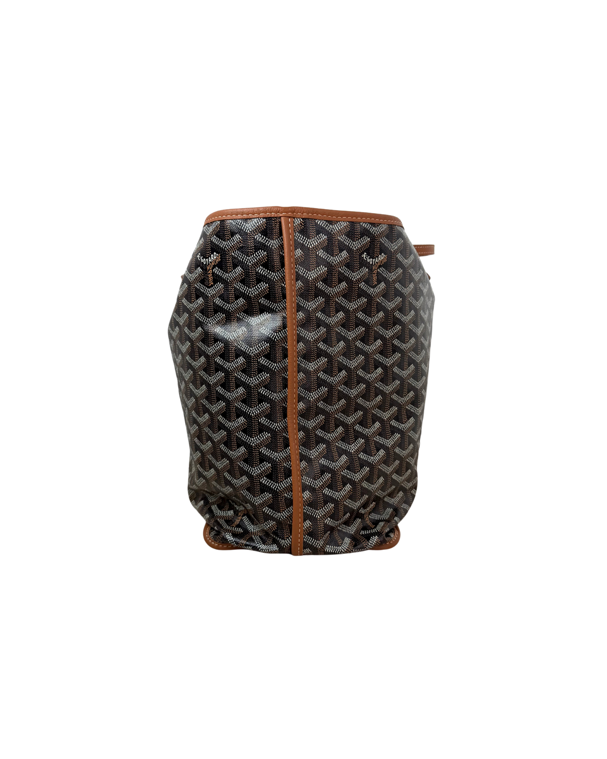 Goyard Saint Louis PM Bag - Black & Tan - View 3