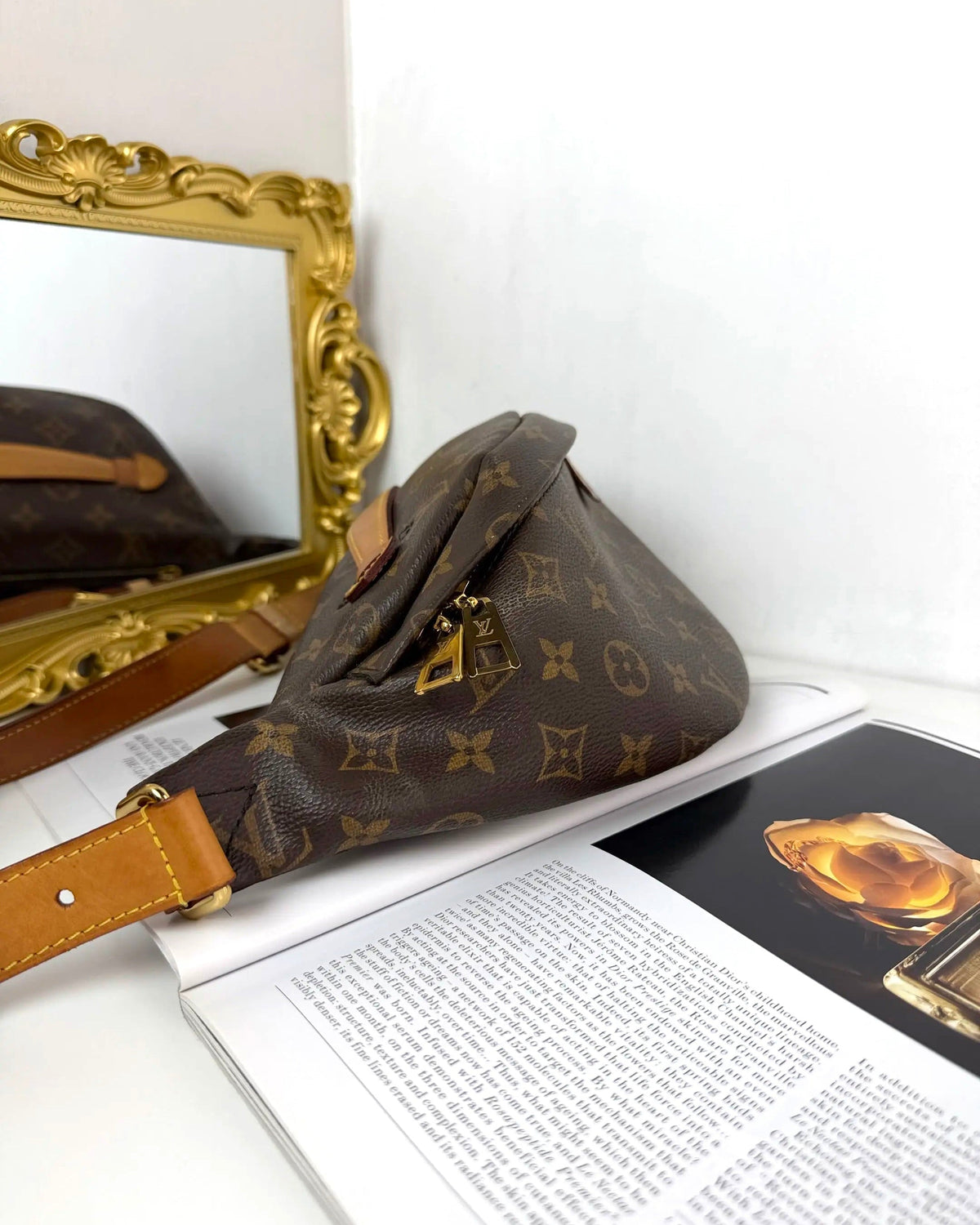 Louis Vuitton Monogram Bumbag - Brown - View 4