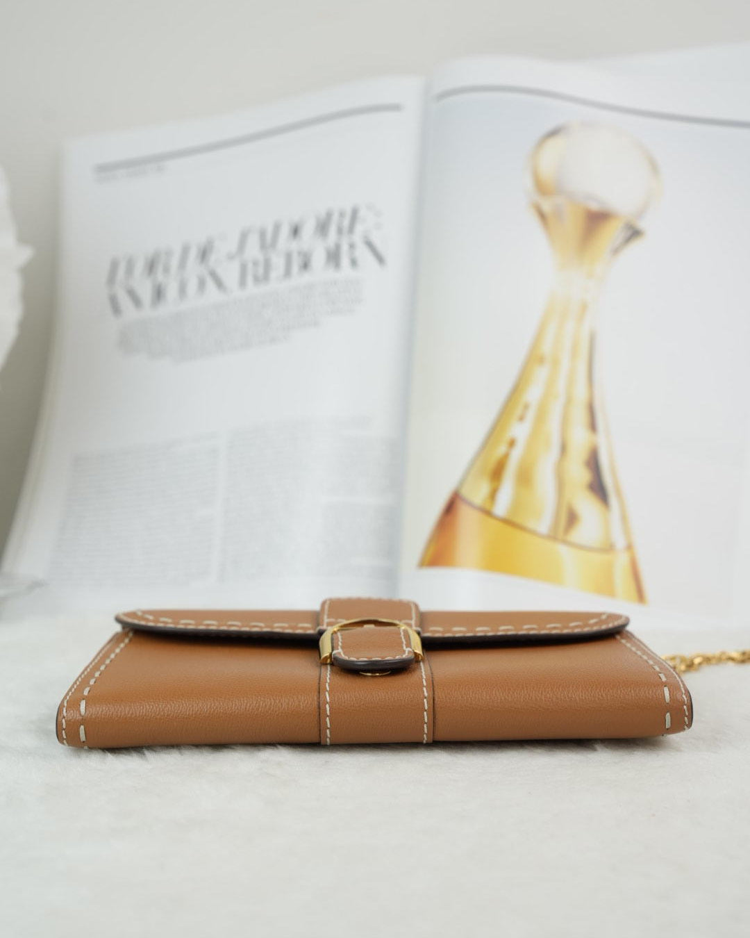 Delvaux Brillant Long Wallet Chain Surpiqué - Vegetal (Tan) - View 5